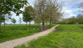 Tocht Stappen Reimerswaal - Yserke 15 km - Photo 11