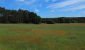 Tour Zu Fuß Schwielochsee - Wanderweg Lamsfeld-Klein Liebitz-Lieberose - Photo 3