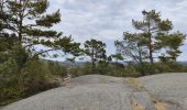 Trail Walking Unknown - Parc naturel de Kristiansand  - Photo 11