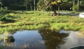 Trail Walking Sainte-Anne - La boucle  - Photo 1