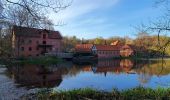 Randonnée A pied Rotenburg - Nordpfad 'Wümmeniederung' - Photo 3