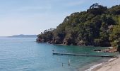 Randonnée Marche Cavalaire-sur-Mer - DE CAVALAIRE AU RAYOL - MER ET CRÊTES - Photo 12