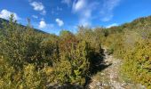 Trail Walking La Chapelle-en-Vercors - Belvédère de Remoulat  - Photo 1