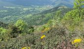 Randonnée Marche Vernet-les-Bains - Col de Jou - Photo 6