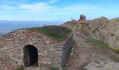 Tour Wandern L'Albère - ullat - san-cristau / retour par la piste  - Photo 11