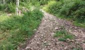 Randonnée Marche Bellefontaine - Des lacs de Bellefontaine vers le belvédère de la roche Bernard. - Photo 5