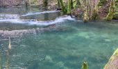 Randonnée  Les Planches-près-Arbois - Cascades des tuff - Photo 6