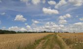 Trail Walking Dinant - FOY GPX BERLAGE - Photo 17