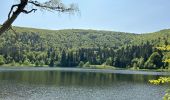 Percorso Marcia La Bresse - Tourbière de Machais, lac de Blanchemer, etc. - Photo 1