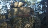 Trail Walking Fontainebleau - rocher d'Avon 13 janvier 2023  - Photo 4
