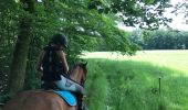 Tour Reiten Fougerolles-Saint-Valbert - Vers fontaine des larrons 9kms - Photo 5