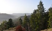 Tour Zu Fuß Gomadingen - Querweg - Oberdigisheim - Weg Nr. 1 - Oberdigisheim - Baienberg - bis zur Weggabelung - Photo 2