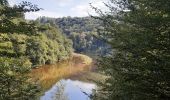 Percorso Marcia Houffalize - tour du lac des 2 ourthes - barrage de Nisramont  - Photo 10