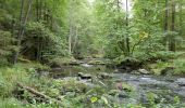 Excursión A pie Windischeschenbach - Waldnaabtal Uferpfad - Photo 6