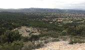 Excursión Carrera Cheval-Blanc - Luberon-19122019 - Photo 4