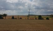 Trail Other activity Charmont-sous-Barbuise - Creney 35 - Photo 7