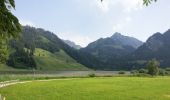 Tour Zu Fuß Plaffeien - Schwarzsee Bad Seeweid - Patraflon - Photo 5