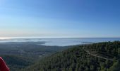 Trail Walking Sanary-sur-Mer - Paul Batterie de la Pointe Roche Crurade - Photo 6