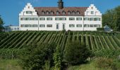 Tour Zu Fuß Immenstaad am Bodensee - Apfel- und Weinspazierweg Immenstaad - Photo 8