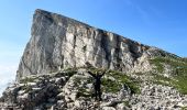 Randonnée Marche Saint-Agnan-en-Vercors - Grand Veymont- Vercors - Photo 2