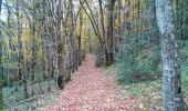 Trail Walking Marchaux-Chaudefontaine - Chaudefontaine - Photo 6