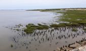 Randonnée Marche Audenge - Grande boucle du domaine de Certes-Graveyron - Photo 2