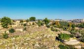 Tour Zu Fuß Regionalverwaltung Mateh Jehuda - דרך דיפנבייקר - Photo 8