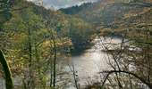Excursión A pie Houffalize - La promenade autour du Lac de Nisramont - Photo 19