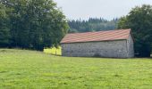 Randonnée Marche Saint-Agnan-en-Vercors - Col de soulier - Photo 10