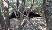 Tour Wandern La Roquebrussanne - baume fère font coulette croix de bérard - Photo 10