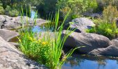 Excursión Senderismo Le Cannet-des-Maures - Boucle autour du Lac des Escarcets - Photo 15