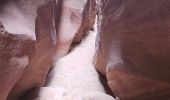 Tour Wandern Unknown - 2024 Vermillon Cliffs Bucksin Trail - Photo 3