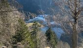 Tour Wandern Xonrupt-Longemer - Riche de Belle-vue - Photo 2
