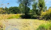 Tour Wandern Sint-Truiden - La reserve naturelle Op d’Hei à Runkelen - Photo 9