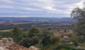 Tour Wandern Rocbaron - Sainte Philomène depuis le col de la Bigue  - Photo 9