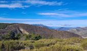 Excursión Senderismo Séderon - Du Sommet du Négron au Sommet de Larran - Photo 5