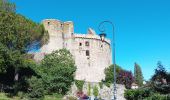 Excursión Senderismo Boussay - Boussay - Clisson  - Photo 11