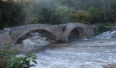 Excursión Senderismo Vins-sur-Caramy - Vins sur Caramy-15-10-21 - Photo 1