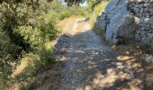 Trail Walking Buoux - PF-Buoux - Sivergues - Le Vallon de l'Aigue Brun - Reco - 01.07.2021 - Photo 13
