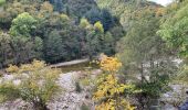 Randonnée Marche Thueyts - Pont du diable Thueyts échelle de la reine  - Photo 10