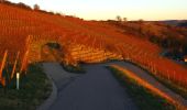 Randonnée A pied Knittlingen - Panorama-Rundwanderweg Freudenstein-Hohenklingen - Photo 1