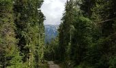Trail Walking Villard-de-Lans - tour bois barbu. malaterre, le sapin bellier - Photo 4