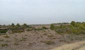 Percorso Marcia Leucate - leucate - la franqui (via le plateau) - phare (via la falaise) - leucate (via le plateau) - Photo 19