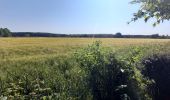 Tour Wandern Englefontaine - Englefontaine. Lisière Mormal  - Photo 13