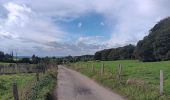 Trail Walking Sprimont - autour de dolembreux  - Photo 16