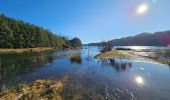 Tour Wandern Maasmechelen - Terhills et son pont flottant  - Photo 11