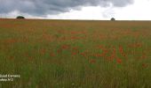 Randonnée Marche Sennevières - loches - Photo 9