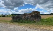 Excursión Senderismo Gerpinnes - Fromiée - Les Bruyères - retour par la GR 129 - Photo 3