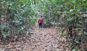 Tour Wandern Le Lorrain - Boucle Crabière - Anse Rivière Rouge - Photo 4