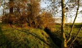 Trail On foot Tongeren - 's Herenelderen - Photo 3